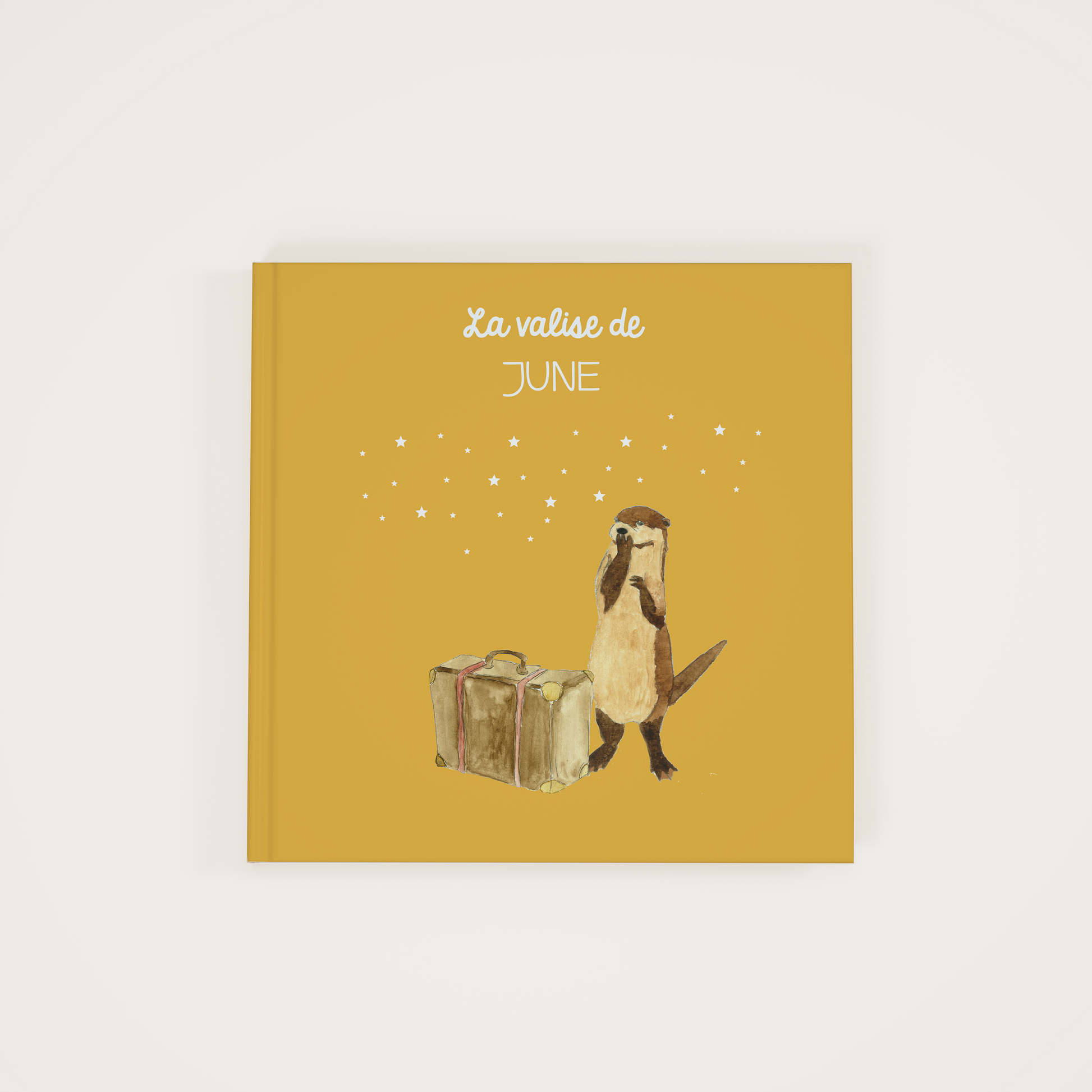 La valise - Zebrabook