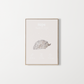 newborn_customized_poster_hedgehog